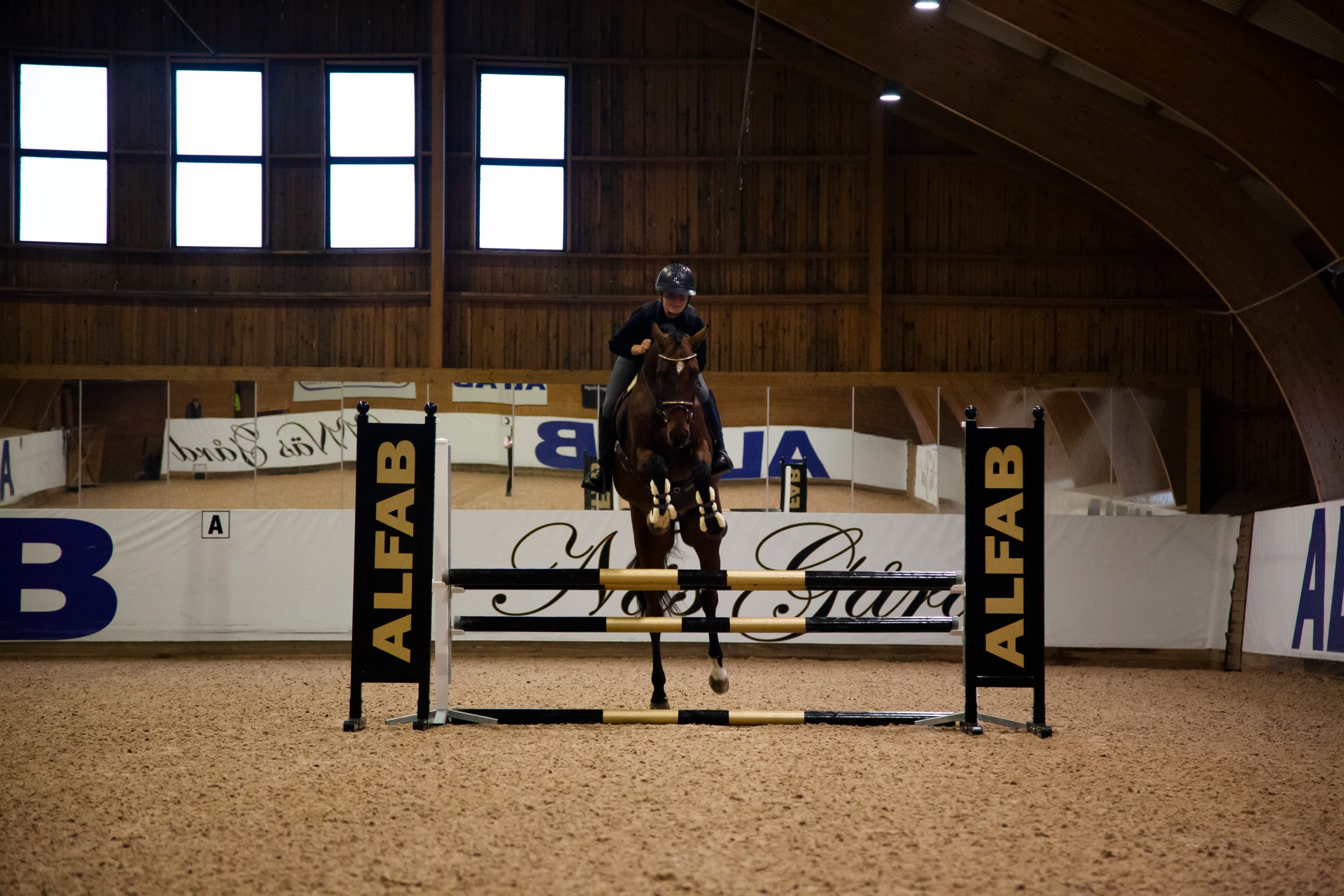 ALFAB Hästlastbilar - ALFAB Hästsport